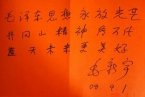 毛新宇書法其實稱不上書