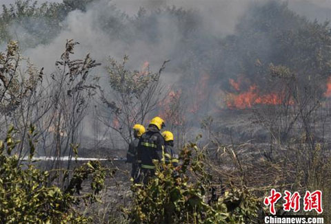 杭州火災事故 8月8日上午杭州桐廬縣森林起火