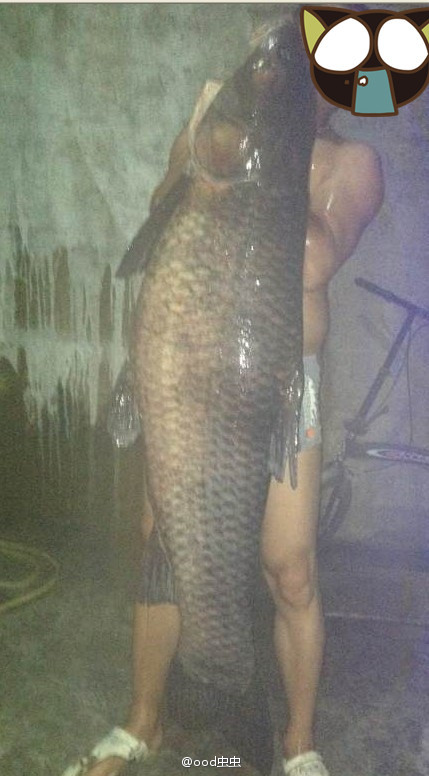 浙江瑞安馬嶼驚現64.7斤超大青魚 魚身長度有一人高