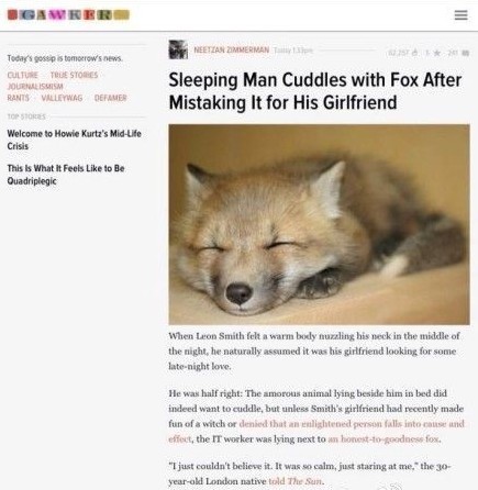 男子誤把狐貍當女友