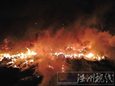 溫州甌浦垟一空地發(fā)生大火