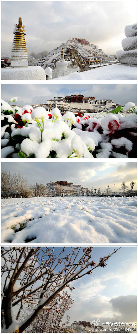 2013年拉薩第一場雪 布達拉宮雪景