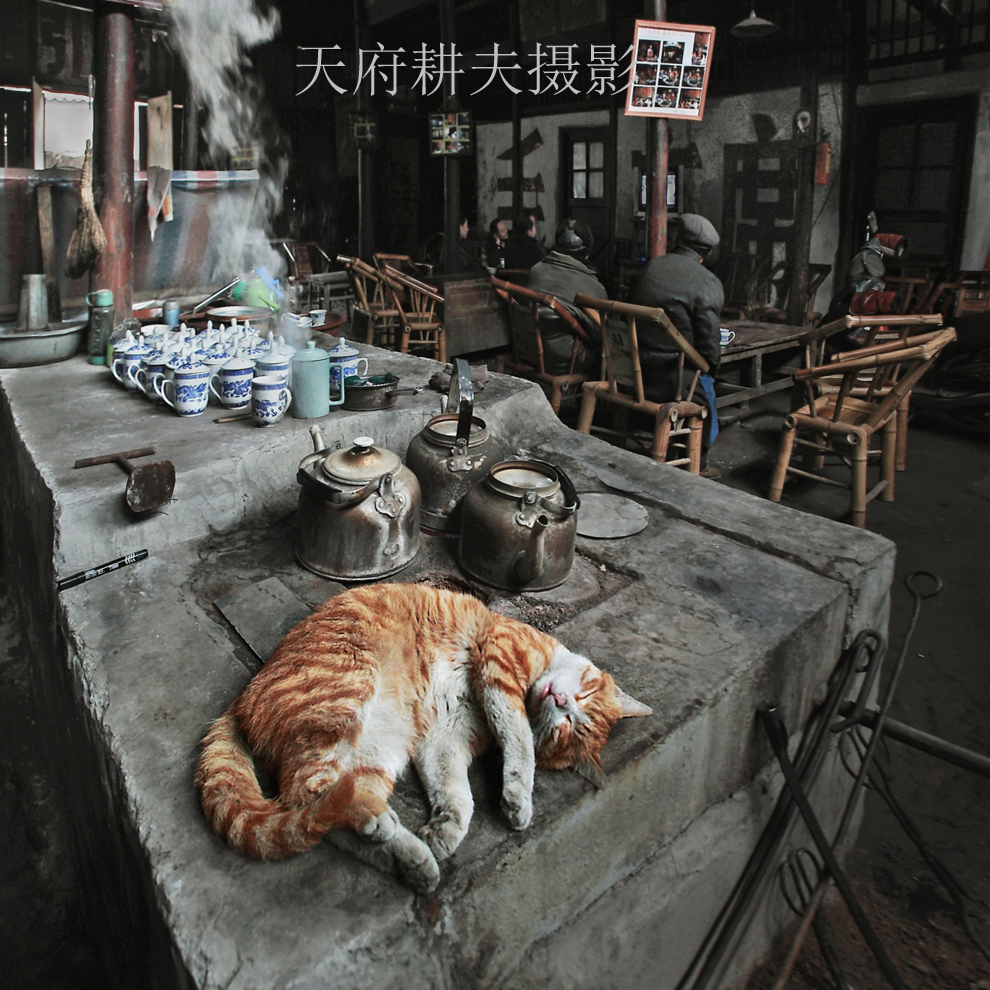 23屆國(guó)展優(yōu)秀獎(jiǎng)，中國(guó)攝影家協(xié)會(huì)舉辦的首屆國(guó)際網(wǎng)絡(luò)大賽銅獎(jiǎng)《冬日茶館》