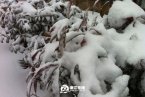 浙江湖州安吉縣下雪了