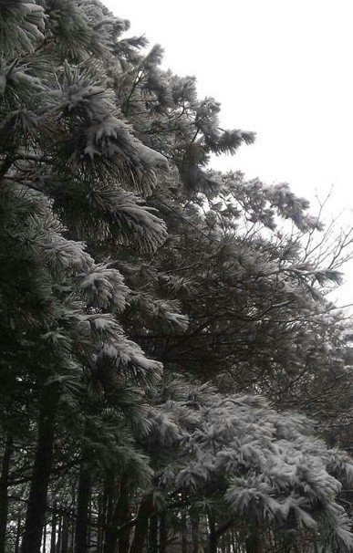 浙江下雪了，2013年冬季浙江湖州安吉第一場雪