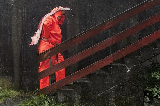 丹麥法羅蘭群島屠鯨節(jié)，大批領(lǐng)航鯨遭屠殺。