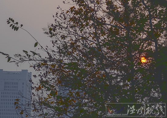 溫州永嘉今天灰霾嚴(yán)重