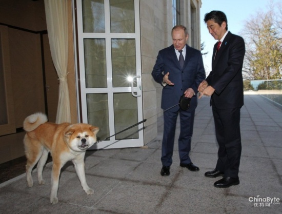 普京牽狗會見安倍