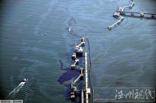 韓國(guó)原油泄露圖片