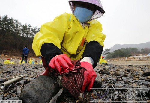 工人在對(duì)受污染海岸做清理