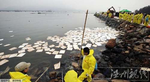 韓國(guó)上百噸原油泄露