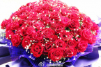 雪災(zāi)使鮮花減產(chǎn) 今年