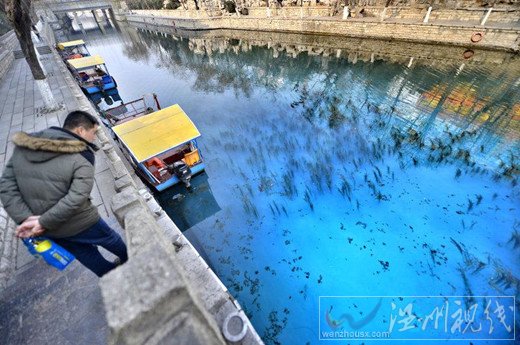 濟南護城河被染色
