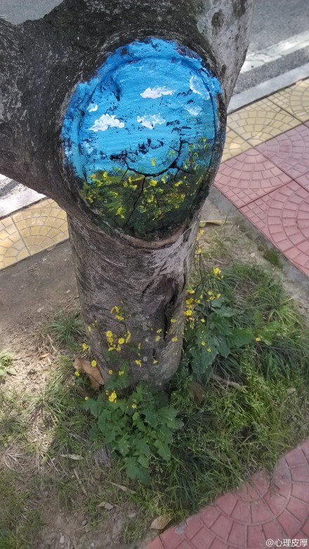 福建農(nóng)林大學(xué)創(chuàng)意樹(shù)洞畫 為美麗的校園添色彩