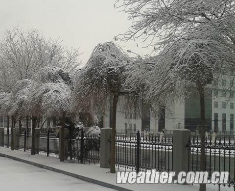 沈陽大雪
