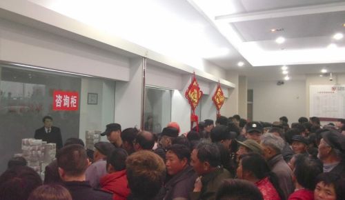 射陽農商行