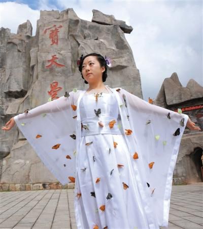 景區扎死蝴蝶裝扮仙子 扎死上百只蝴蝶當裝飾