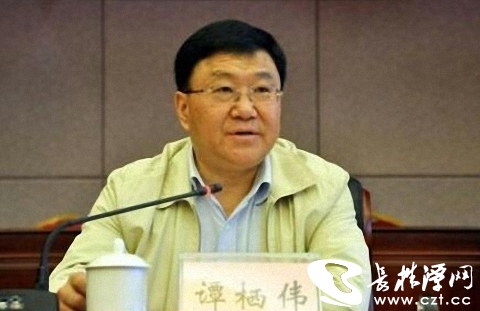重慶最年輕的廳級(jí)干部譚丹的父親譚棲偉
