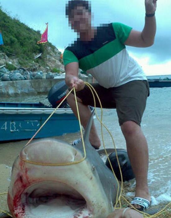 惠州漁民捕到巨魚