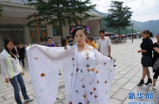扎死蝴蝶裝扮仙子