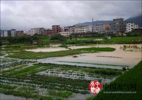 福建2014年臺風