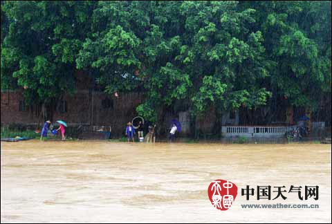 福建2014年臺風