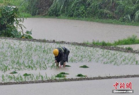 南方暴雨洪澇災害