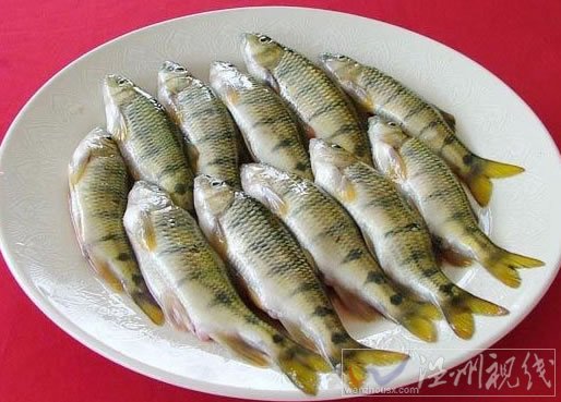黑石斑魚