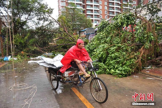 廣西臺(tái)風(fēng)過后街頭一片狼藉