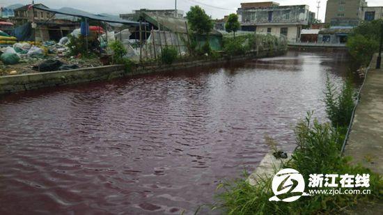 蒼南內河河水變紅