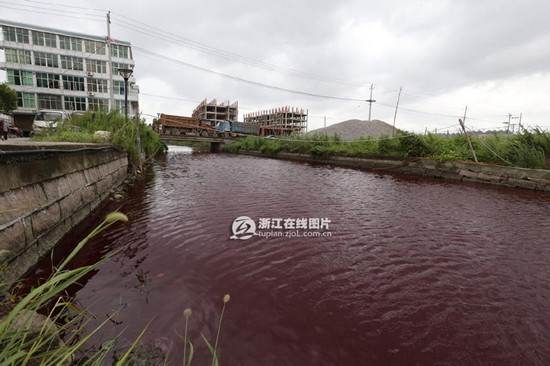 河道變紅原因已經查清楚了