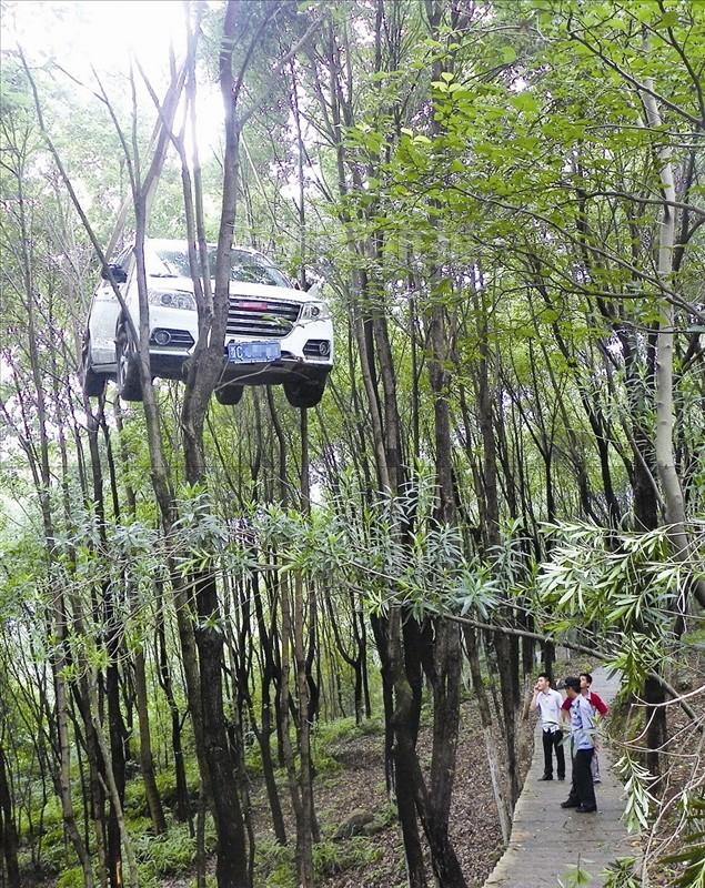 上坡停車掛空擋的結果