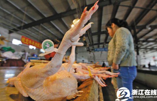 浙江h(huán)7n9最新消息相關(guān)新聞圖片