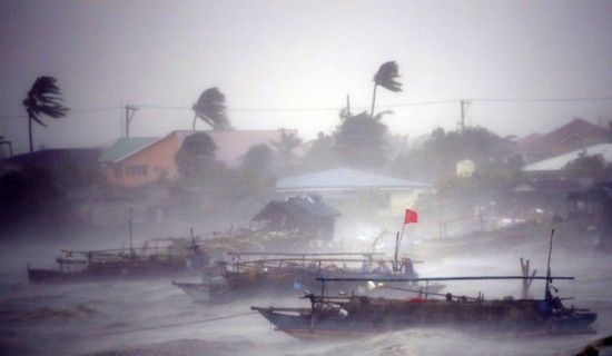 臺(tái)風(fēng)威馬遜災(zāi)情