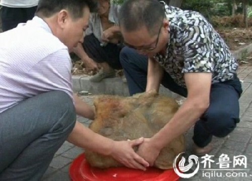 四十一斤太歲是什么