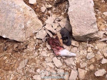 溫州蒼南采石場坍塌事故現場圖片