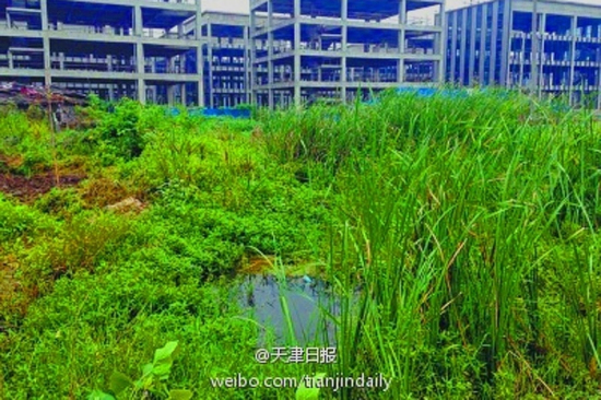 90后準(zhǔn)新娘喪尸水塘