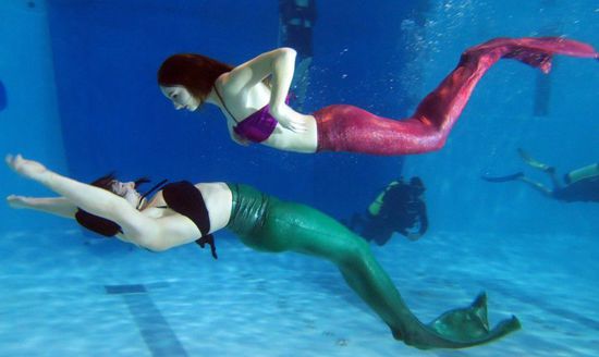 加拿大美人魚