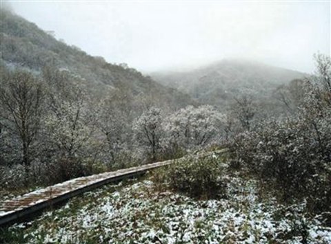 北京靈山五月飄雪，2015年5月9日北京靈山風景區下雪了