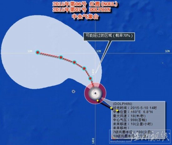 臺風白海豚