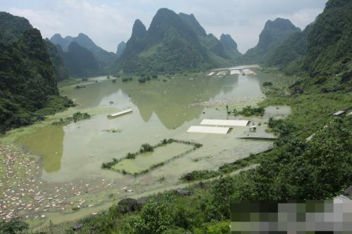 廣西一養殖場被淹