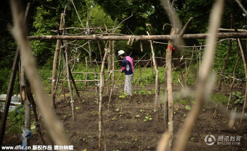 中國(guó)家長(zhǎng)在耶魯大學(xué)種菜