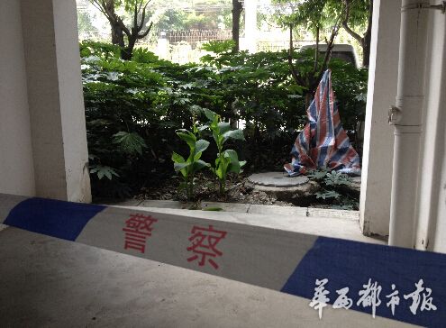 成都一妙齡女小區12樓墜亡