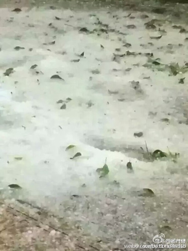 會理縣下冰雹