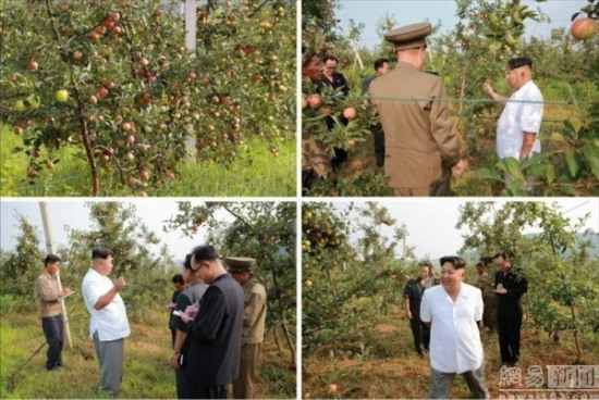 金正恩視察農場喜笑顏開