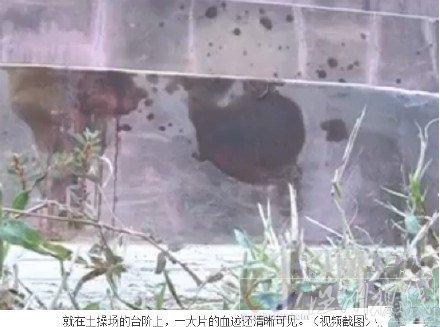 操場(chǎng)飆車(chē)撞人