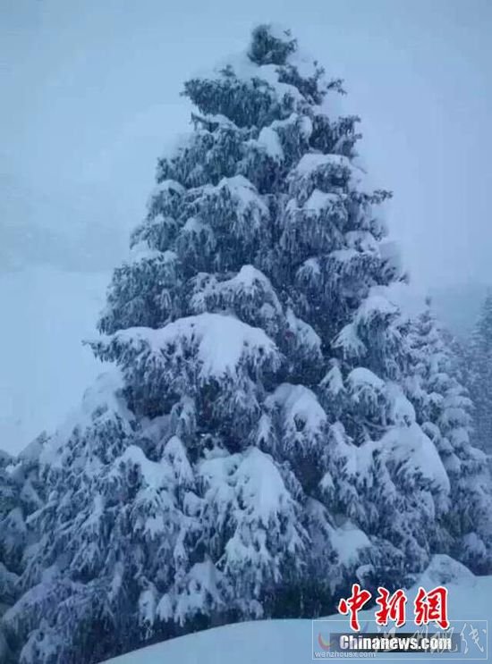 新疆北部地區出現降雪