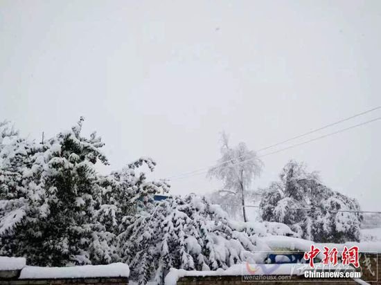 新疆北疆山區降雪