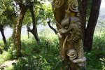 浙江寧波現(xiàn)活體樹雕 象
