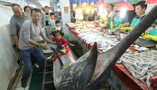 青島漁民破紀錄捕獲超級大箭魚